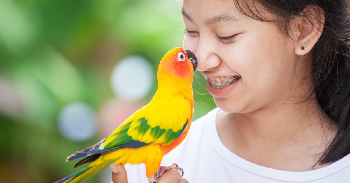 A young woman with braces smiling as she holds a green and orange conure on her finger. Its beak is touching her nose.