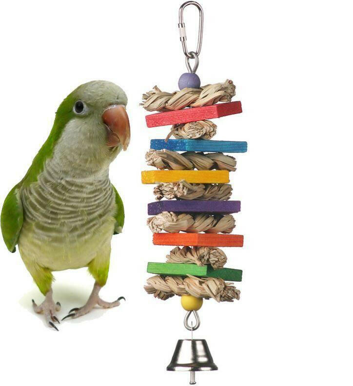 All bird clearance supply